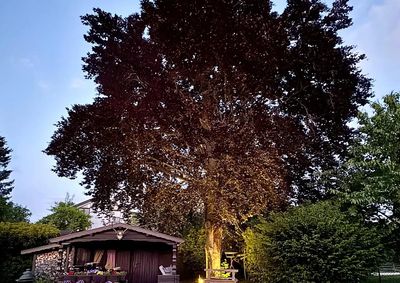 Διαμέρισμα Stadtgarten Oase Μόναχο